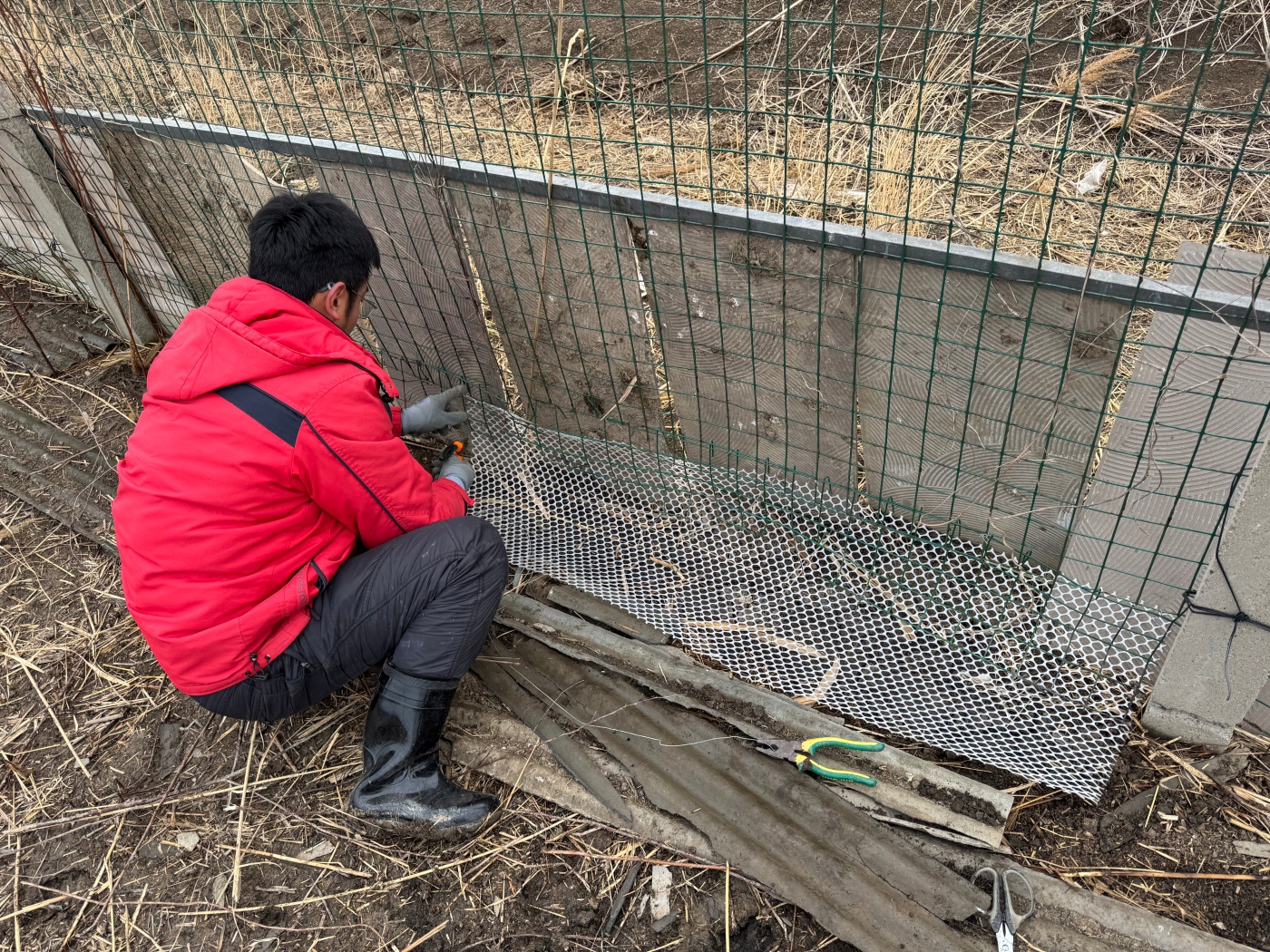 微信图片_20260316142452_40_98_副本