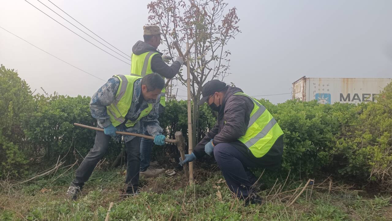 QQ图片20260402085242