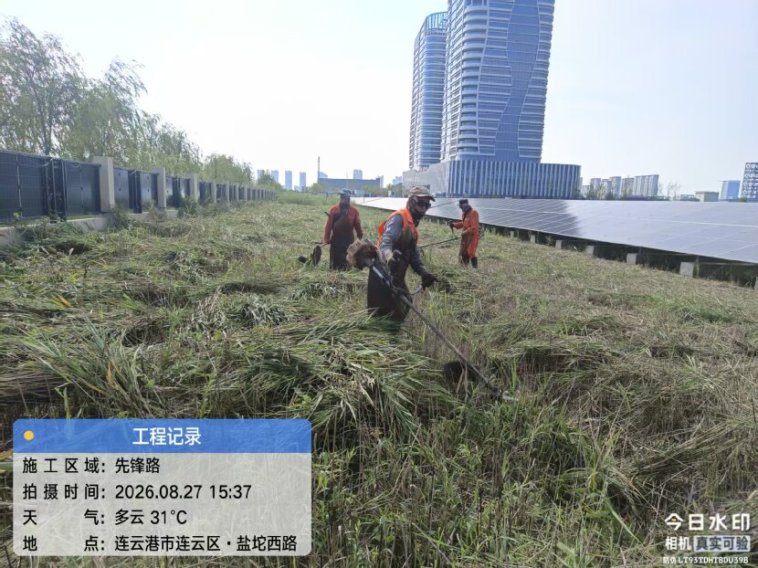 上网1